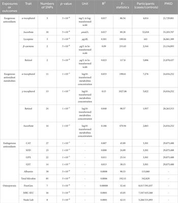 Exogenous and endogenous antioxidants in osteoporosis risk: causal associations unveiled by Mendelian Randomization analysis
